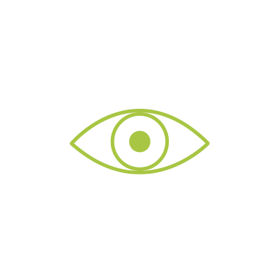 Due-Diligence-ICON Due Diligence
